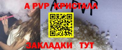 стафф Шебекино