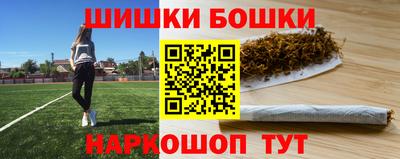 индика Шахты