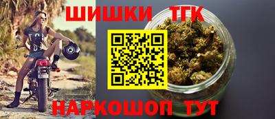 индика Шахты