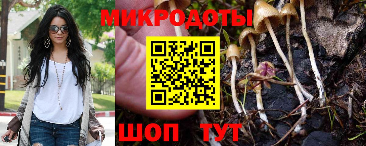 Псилоцибиновые грибы мицелий Елец