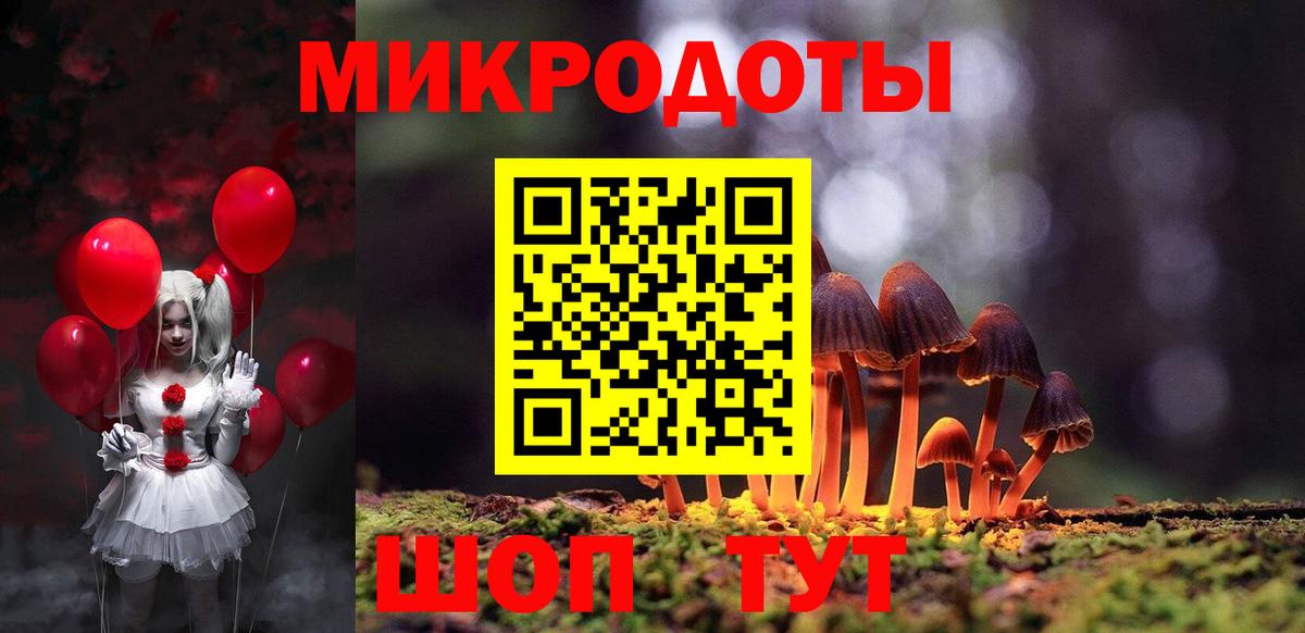 Елец  Псилоцибиновые грибы Magic Shrooms  Вход с VPN  Псилоцибиновые грибы Magic Shrooms 